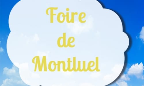Brouillon auto 6