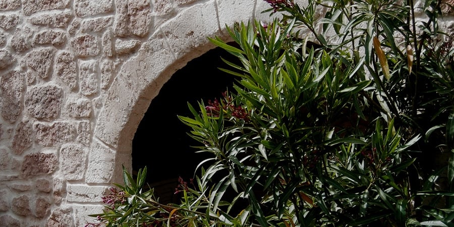 Un jardin au décor authentique -