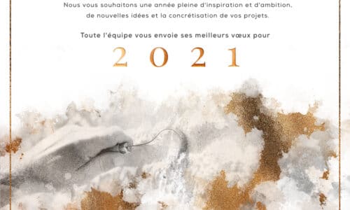 Meilleurs vœux 2021 - Meilleurs vœux 2021